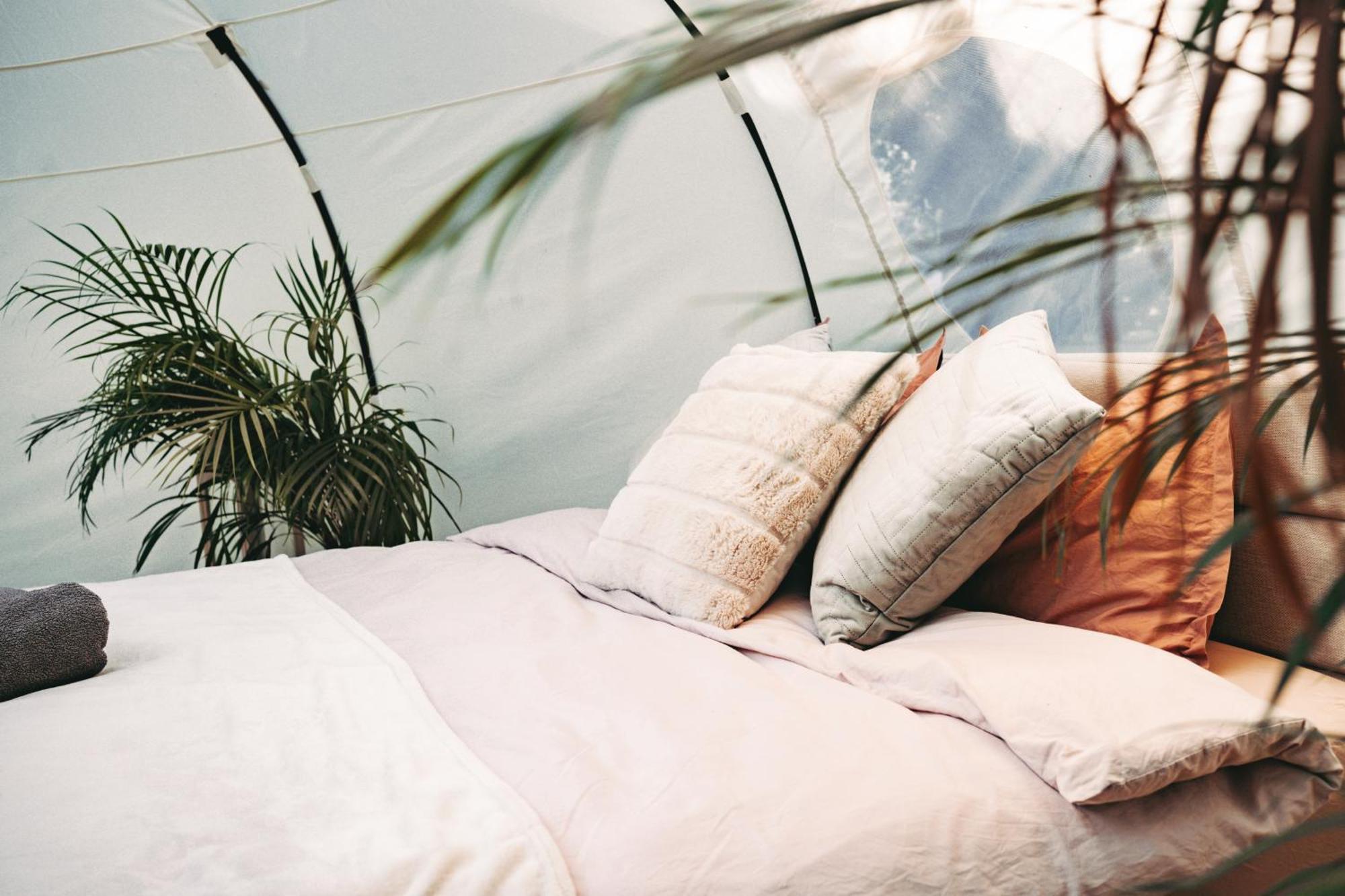 Luxury tent Ranna Surfikuela